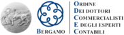 Logo Studio Volpi